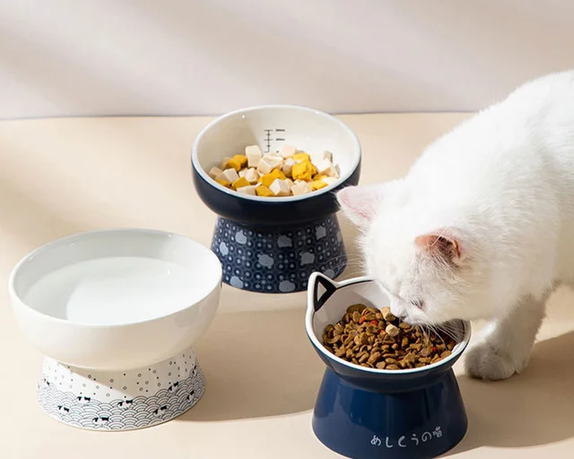 Japanese Style Cat Bowl Ceramic Double Bowl Anti Knock Food Bowl Dog Bowl Cat Drinking Bowl Automatic Drinking Pet Supplies 4
