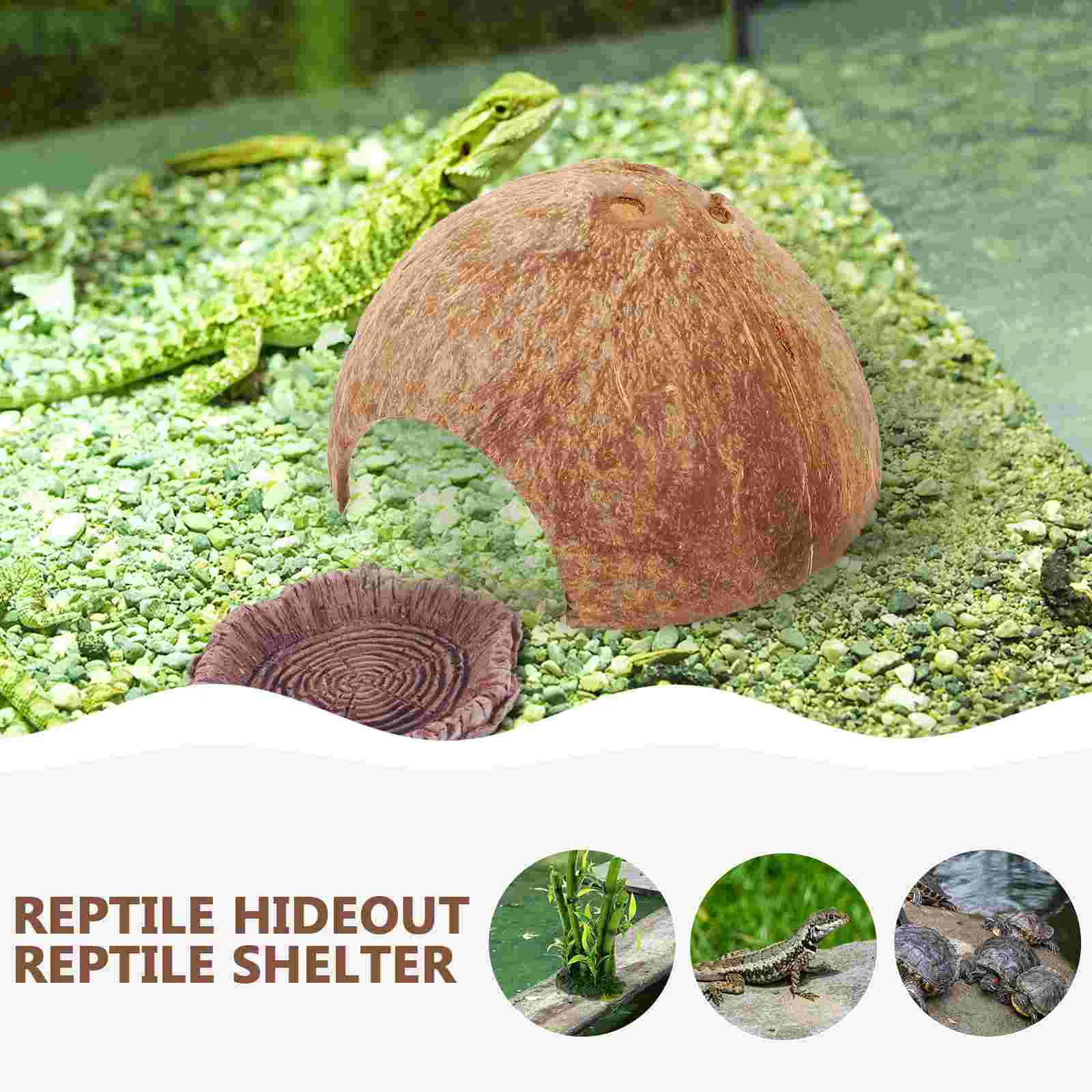 Coconut Hideout House Leopard Gecko Humid Hermit Crab Habitat Shells Hut Turtle - Image 5