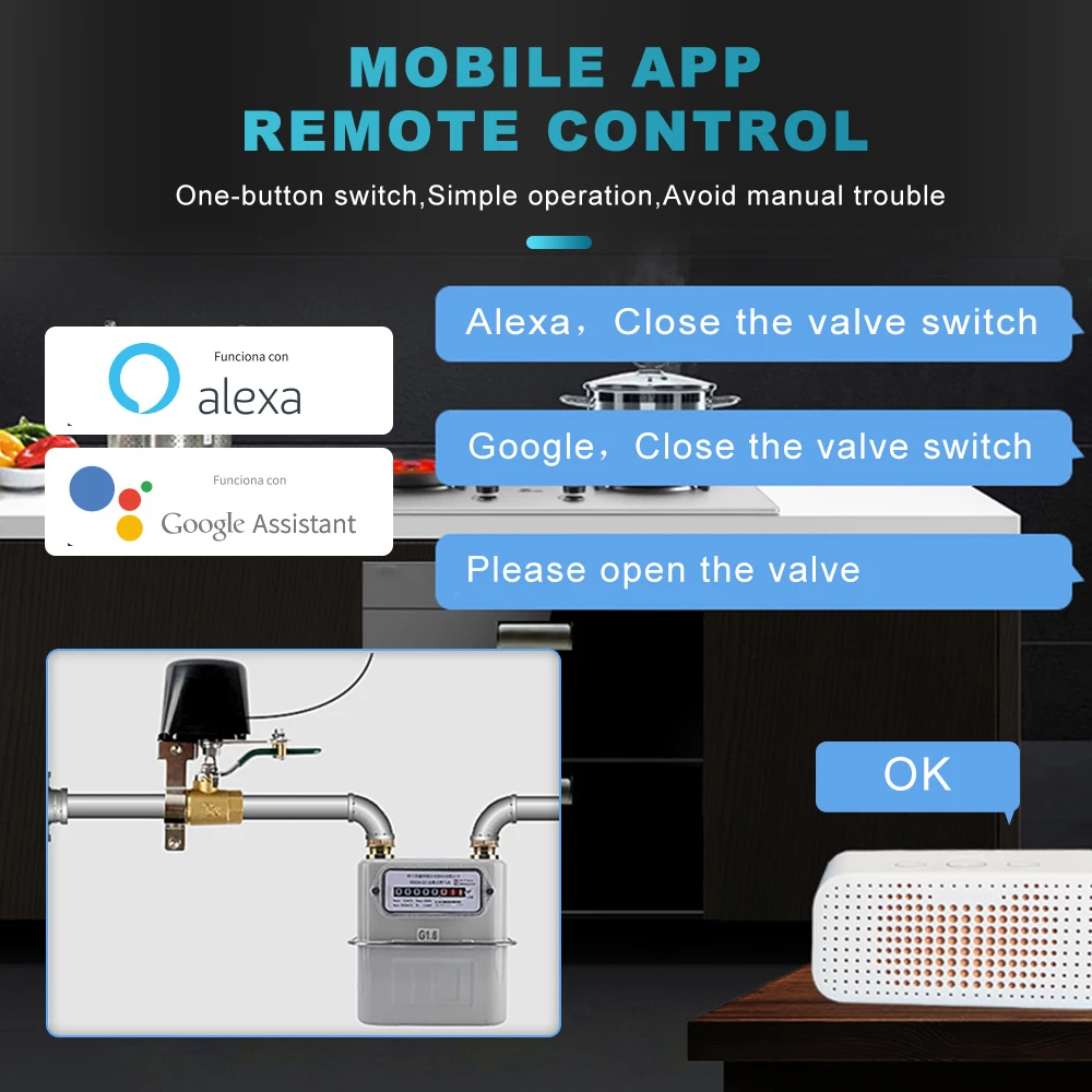WiFi Smart Valve Controller with Bluetooth Timer