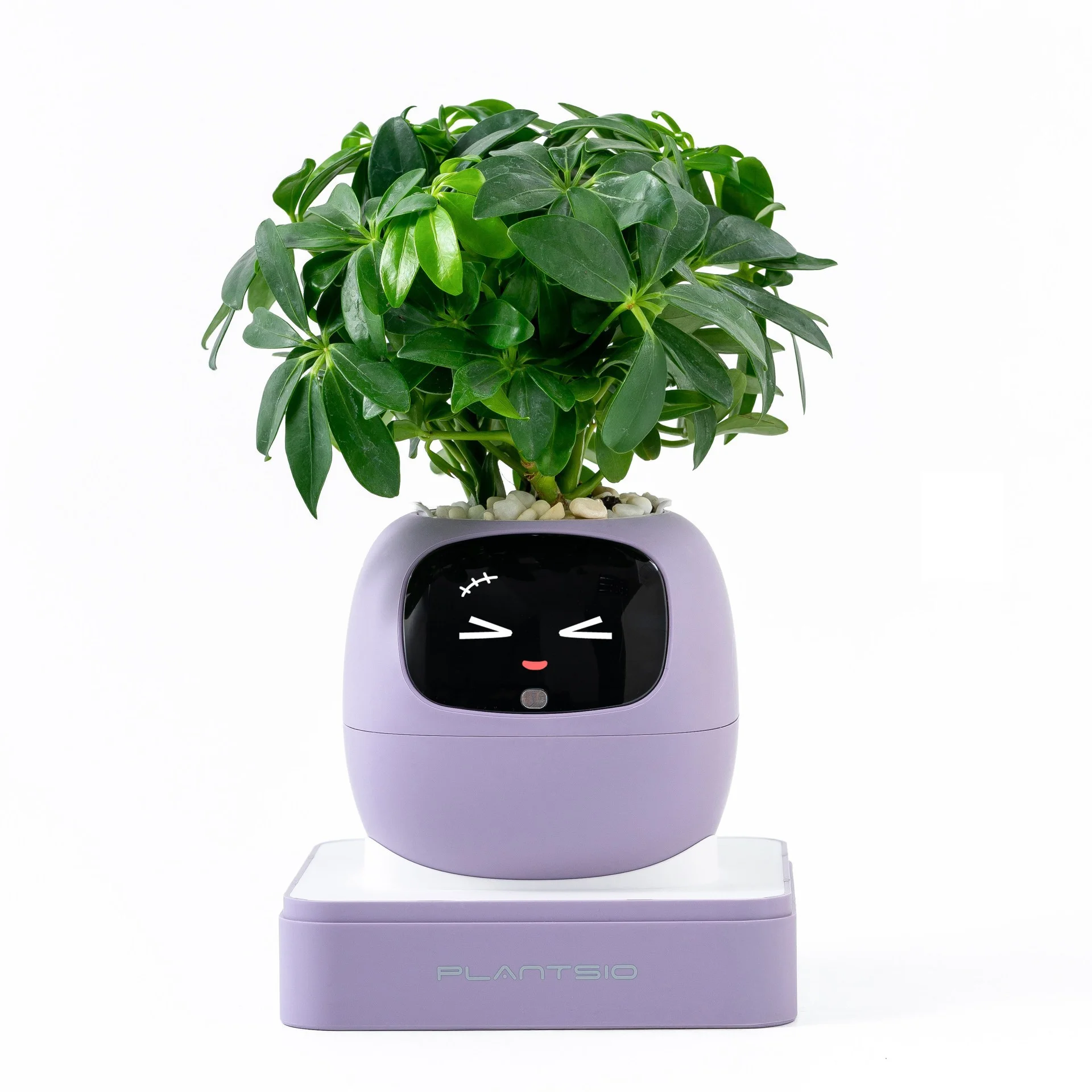 รูปสินค้า กระถางปลูกอัจฉริยะ Smart Garden ปลูกง่าย สนุก ดูแลได้ทุกวัน