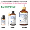 Eucalyptus