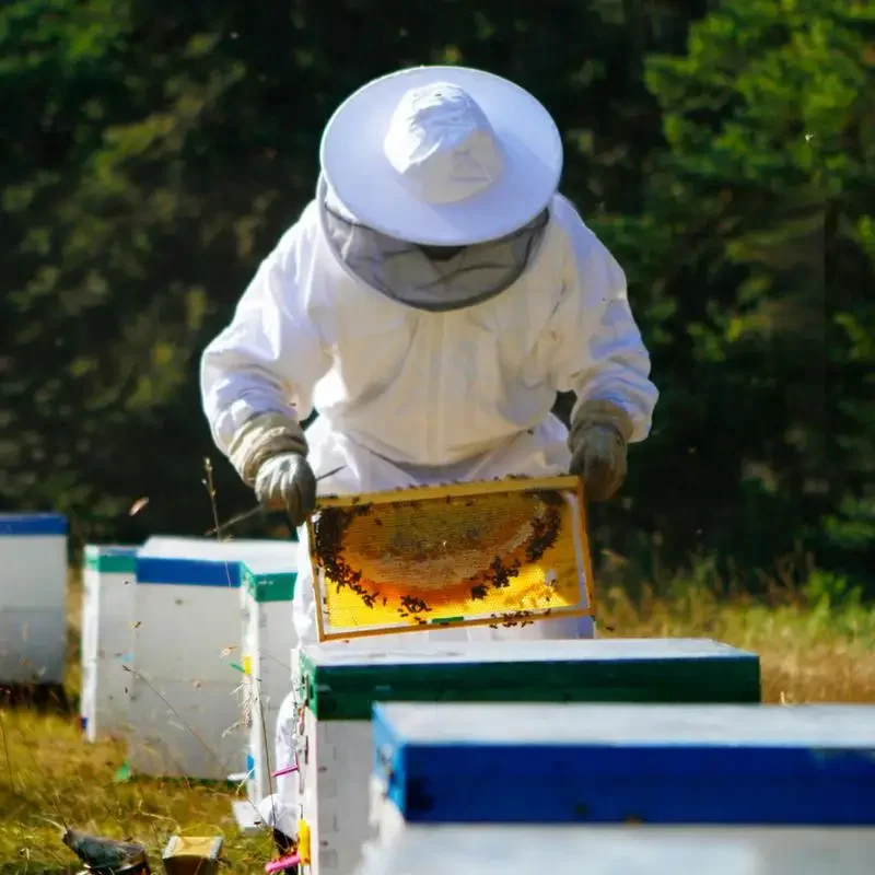 Full Body Beekeeping Suit Professional Beekeepers Clothes With Round Veil Cotton Protective Bee Proof Outfit For Men Women