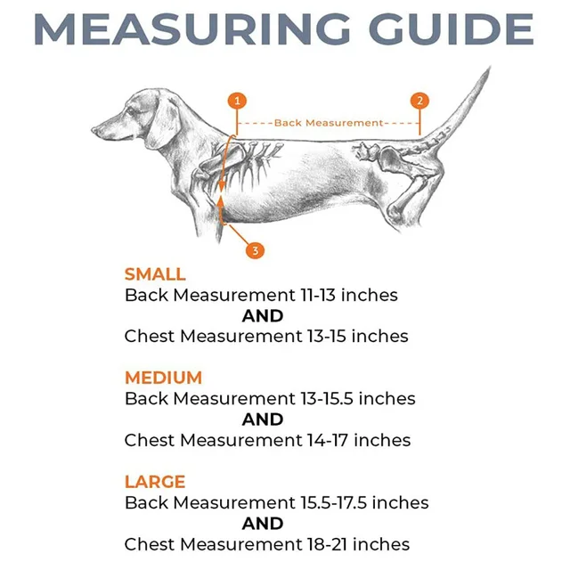 How To Help A Dog With Back Problems