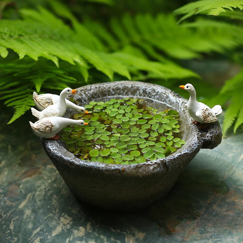 

Creative Hydrocotyle Hydroponic Plant Flower Pot Cute Garden Courtyard Tea Table Decorations