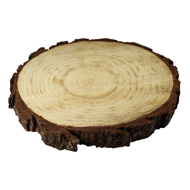 3-16CM Thick Natural Pine Round Unfinished Wood Slices Circles With Tree  Bark Log Discs DIY Crafts Wedding Party Painting 1-10pc - AliExpress