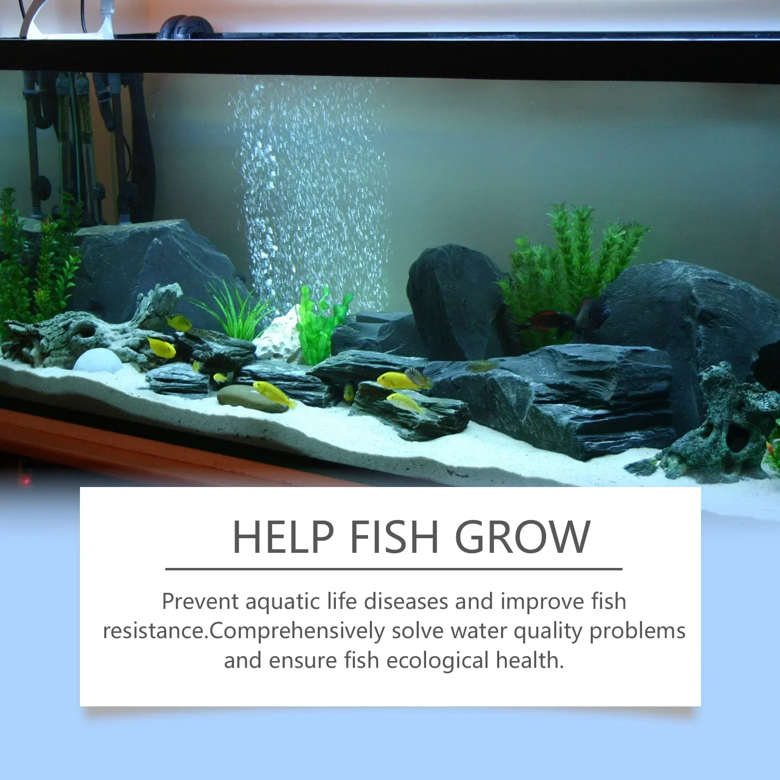 Algae Removal Powder Fish Tank Cleaning Moss Removal Algae Water Purification Does Not Hurt Fish Moss Agent