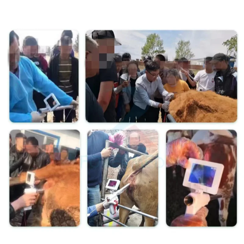 돼지 양 내시경 젖소 고성능 인공수정 휴대용 AI 인공수정 장비