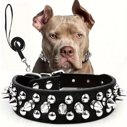 Edgy Leather Spiked Dog Collar & Leash Set - Adjustable - XXL (Black)