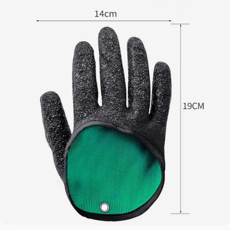 ZDMATHE   尩,  尩, ̲  尩,   ؽ  尩,  ׼