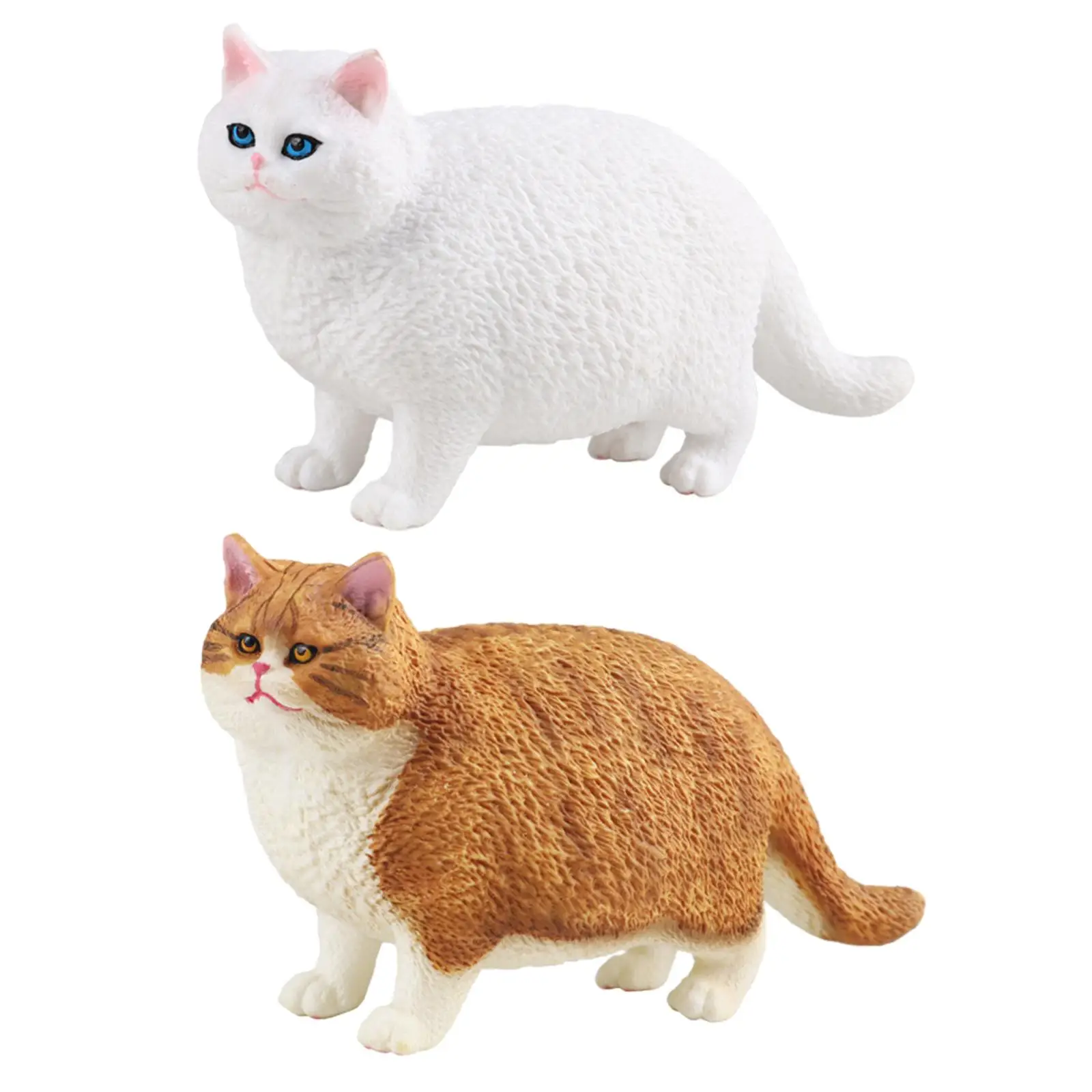   Ի  峭   ̴Ͼó å ,  ȣ ڴ  Ƽ 