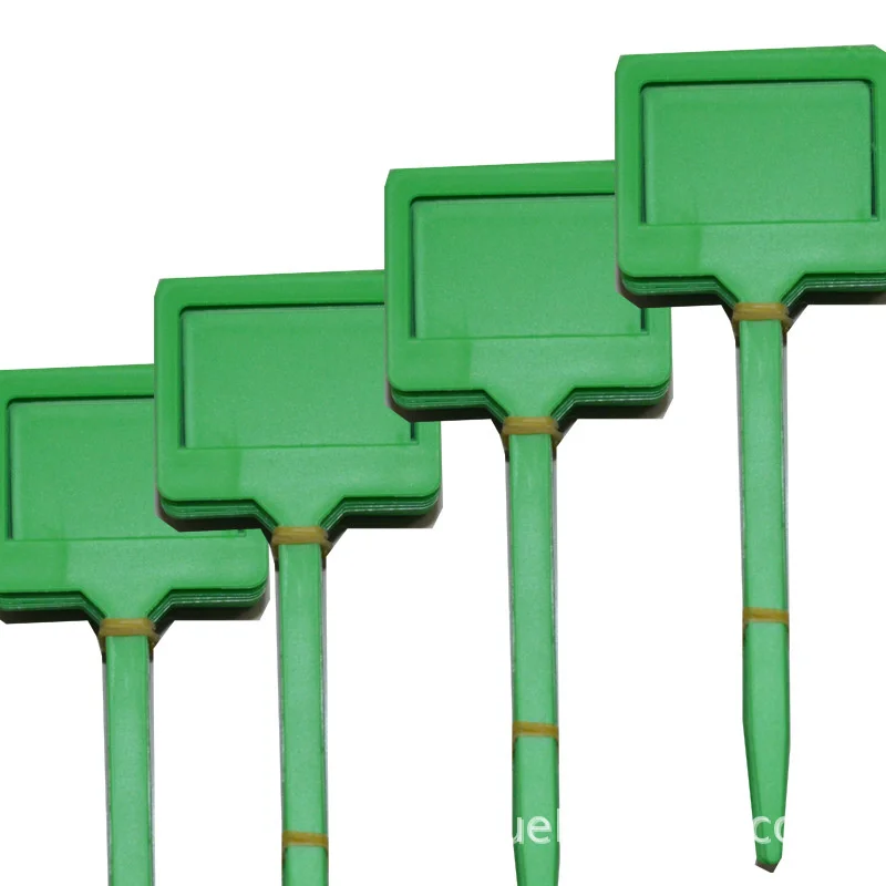 15704416544_1002151063