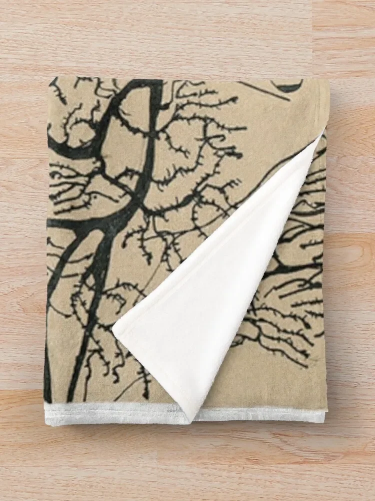 Cajal�� ���� ����ġ ������ ���, ��� ���� ���, ���� ħ�� ���