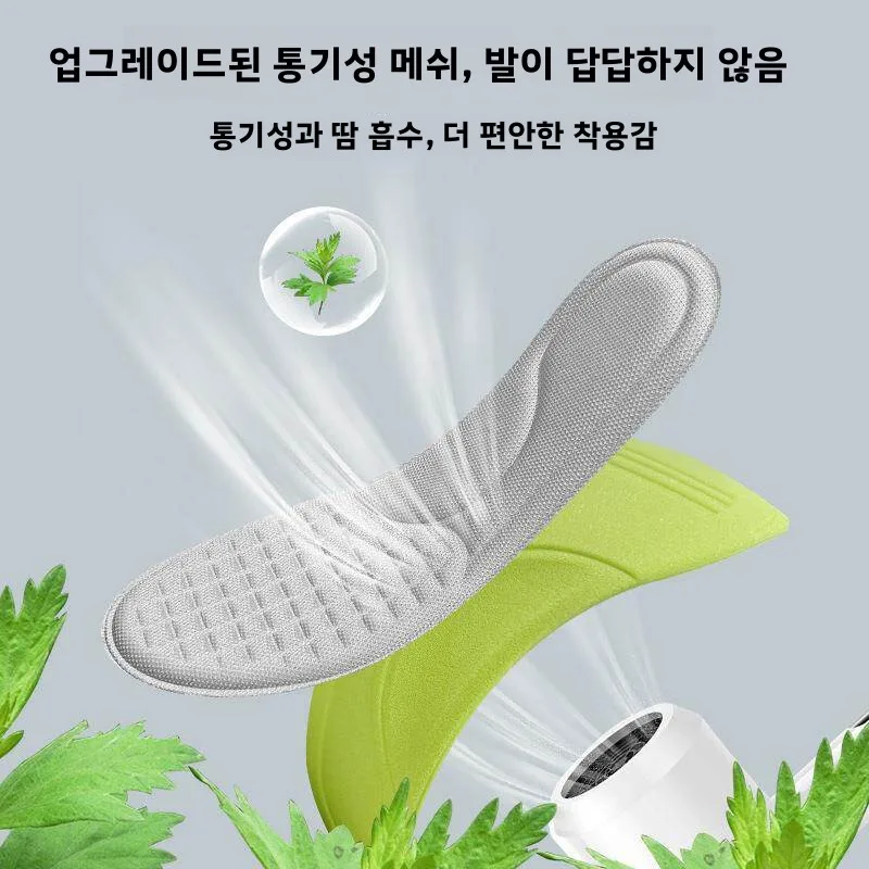 남성용 신발 깔창 땀 흡수성 냄새 방지 부드러운 바닥 스포츠 군사 훈련 편안한 통기성 건조 유칼립투스 깔창