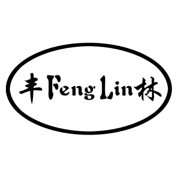 Feng Link Metal Appliance Health Massage Store