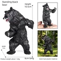 Standing Black Bear