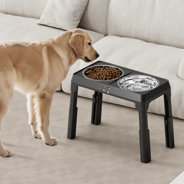 Ortable Non-Slip Elevated Dog Bowls - Foldable Xiaz Raised Feeder Bowls Stand Set With 2 Stainless Steel Bowls 6