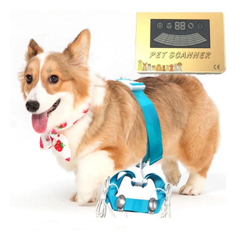 Pet Scanner Quantum Scanner For Detecting Dog And Cat Animal Quantum Resonance Magnetic Body Health Analyzer For Clinic 4
