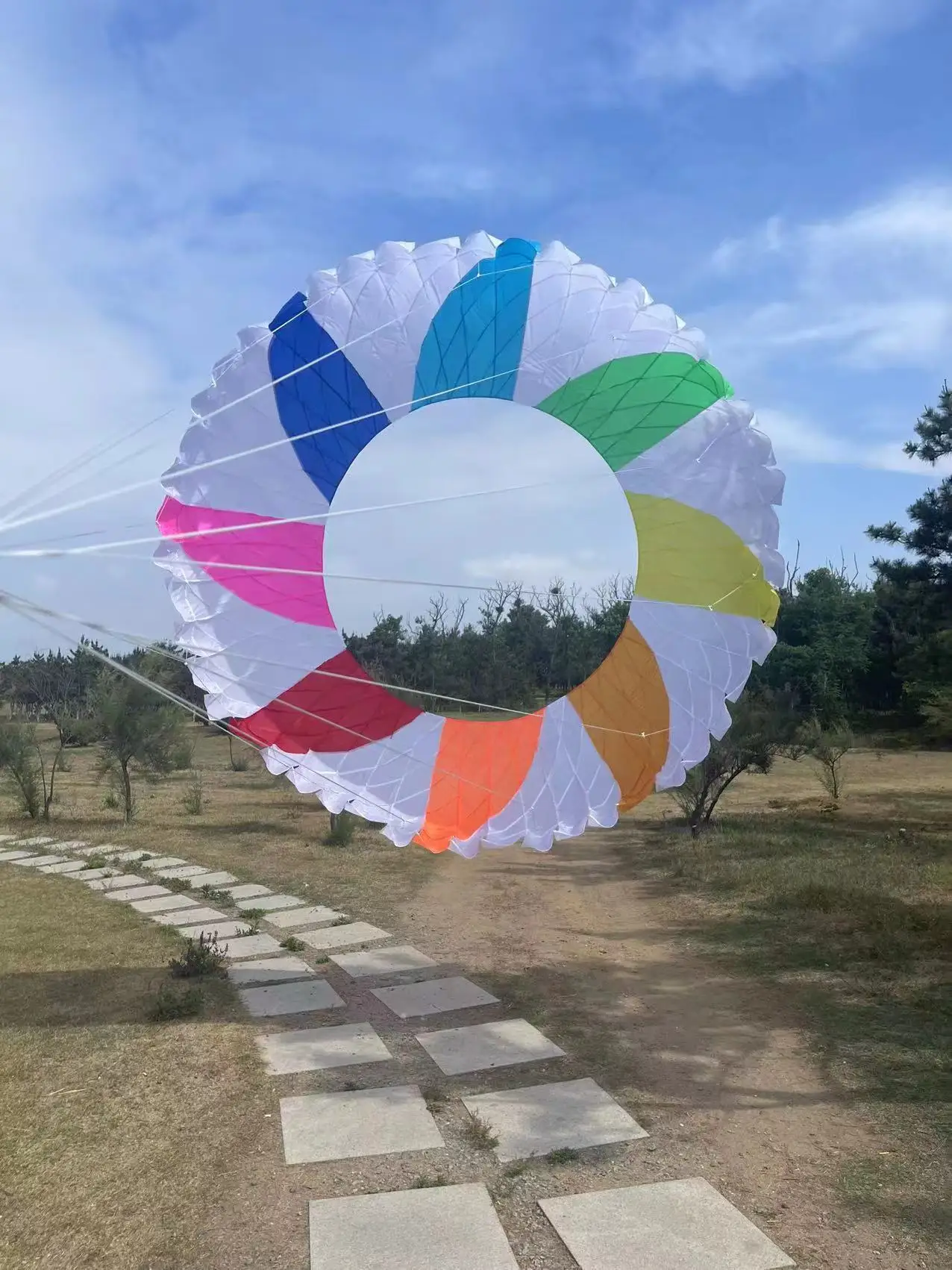 Revolving Kite Giant Soft Kites For Adults Professional Outdoor Games