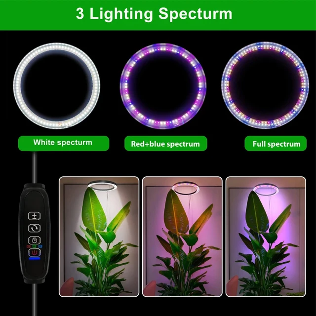 165cm Height Adjustable LED Ring Grow Lights Indoor Plants Full Spectrum Large Plant Light for Indoor Plants USB Growing Lamp 2