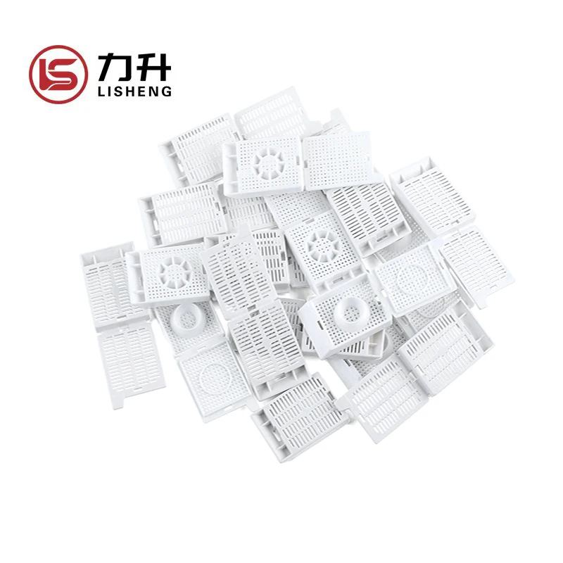 Medical Consumable Laboratory Disposable Histology Plastic Embedding Cassette