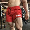 Men's Summer Sports Quick Dry Casual Shorts Gym Bodybuilding Training Beach Sweat Short Pants Fitness Running Sweatpants Jogging 1