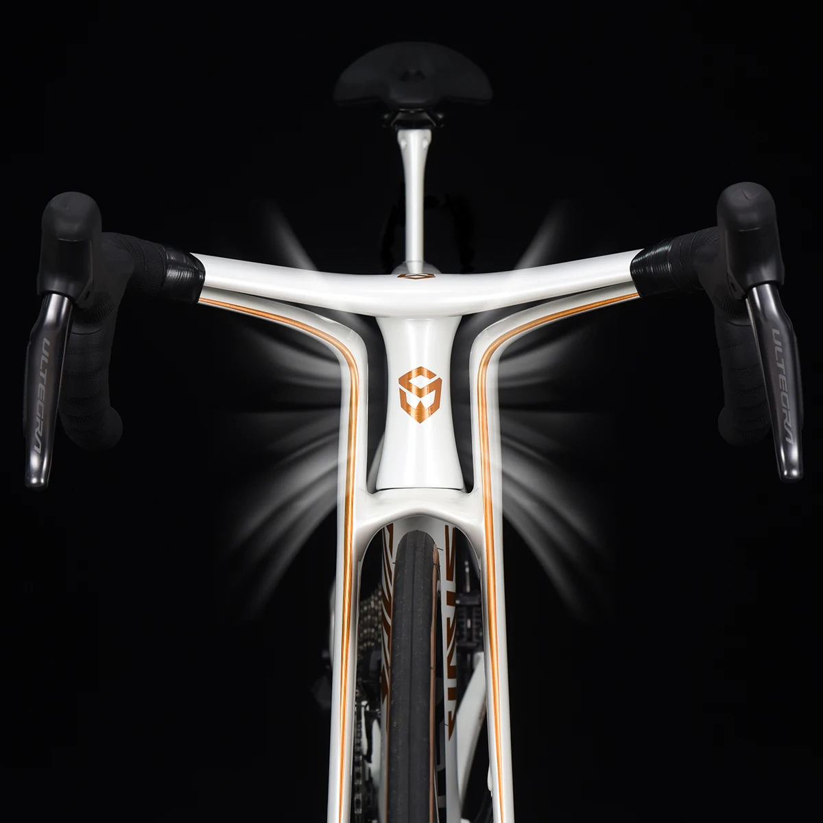 SAVA Dream Maker Full Carbon Fiber Bicycle 4