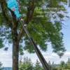 180 Degree Adjustable Stable Grip Telescoping Pruning Pole Lightweight for Electric Pruner High Branch Pruning Telescoping Rod 4