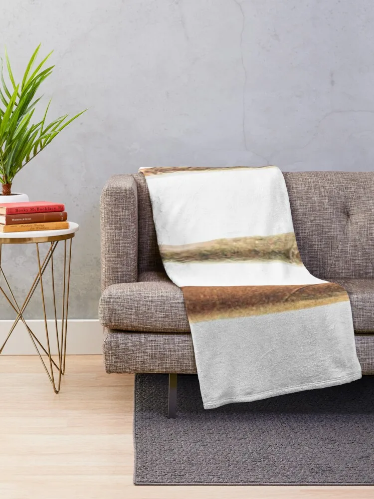  ķ�ο� ���� ������ ���, �ִϸ��̼� ���, �̱� ���