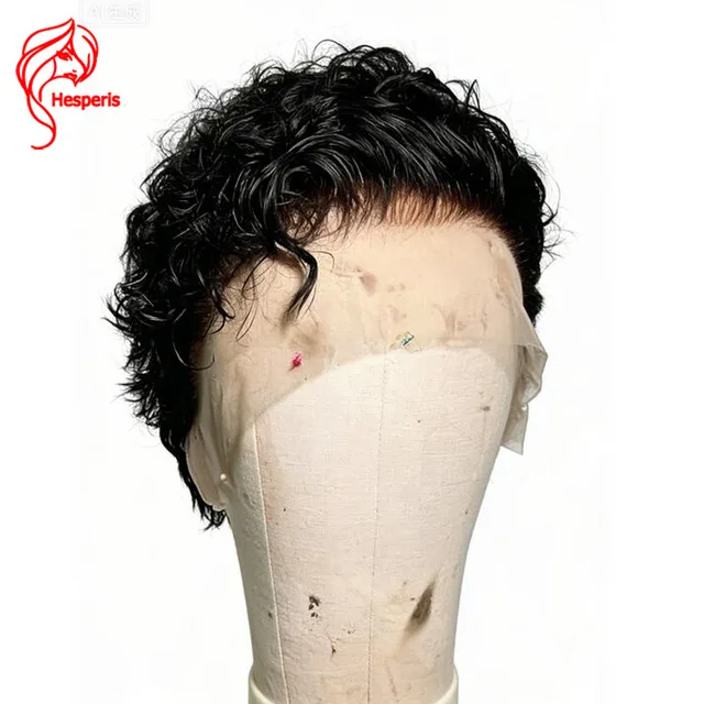 Perruque Courte Bouclée Hesperis pour Homme, Lace Frontale 13x6, Cheveux Humains Remy Pré-Style, Couleur Naturelle, Perruque Garçon pour Hommes 1
