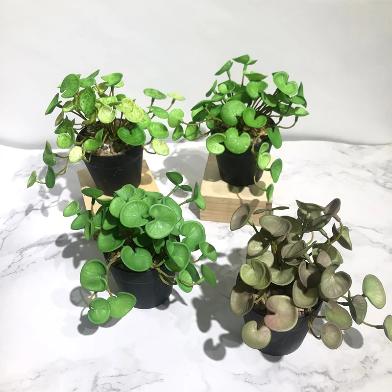Description Picture 2 of itemArtificial Plant Mini Bouquet Copper Coin Grass Soft Glue Fake Green Plants Wall Hanging for Home Office Garden Decoration