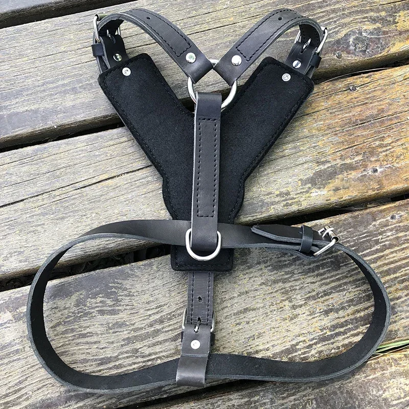 Harnais Et Rênes Cuir Pour Cheval – Showman – Premium NEUF (8')