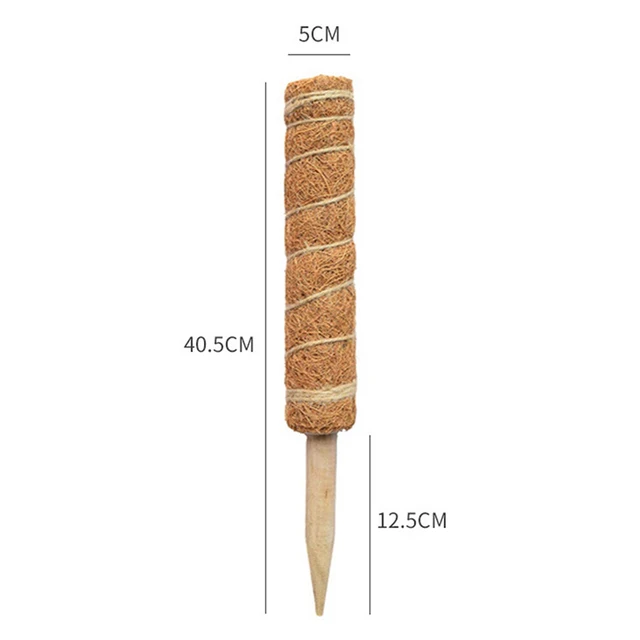 40cm