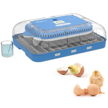 70-Egg Automatic Poultry Incubator 1
