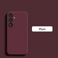 Plum Color