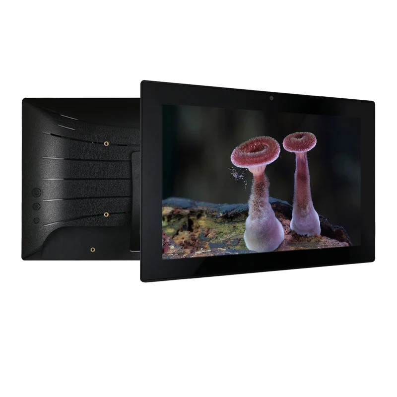 Рисунок 3 - 10,1 дюймовый настенный RK PX30