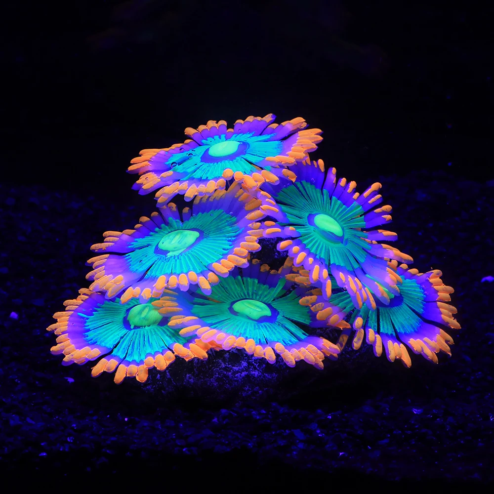Fish Tank Decorations Silicone Simulated Sea Anemone Night Glow