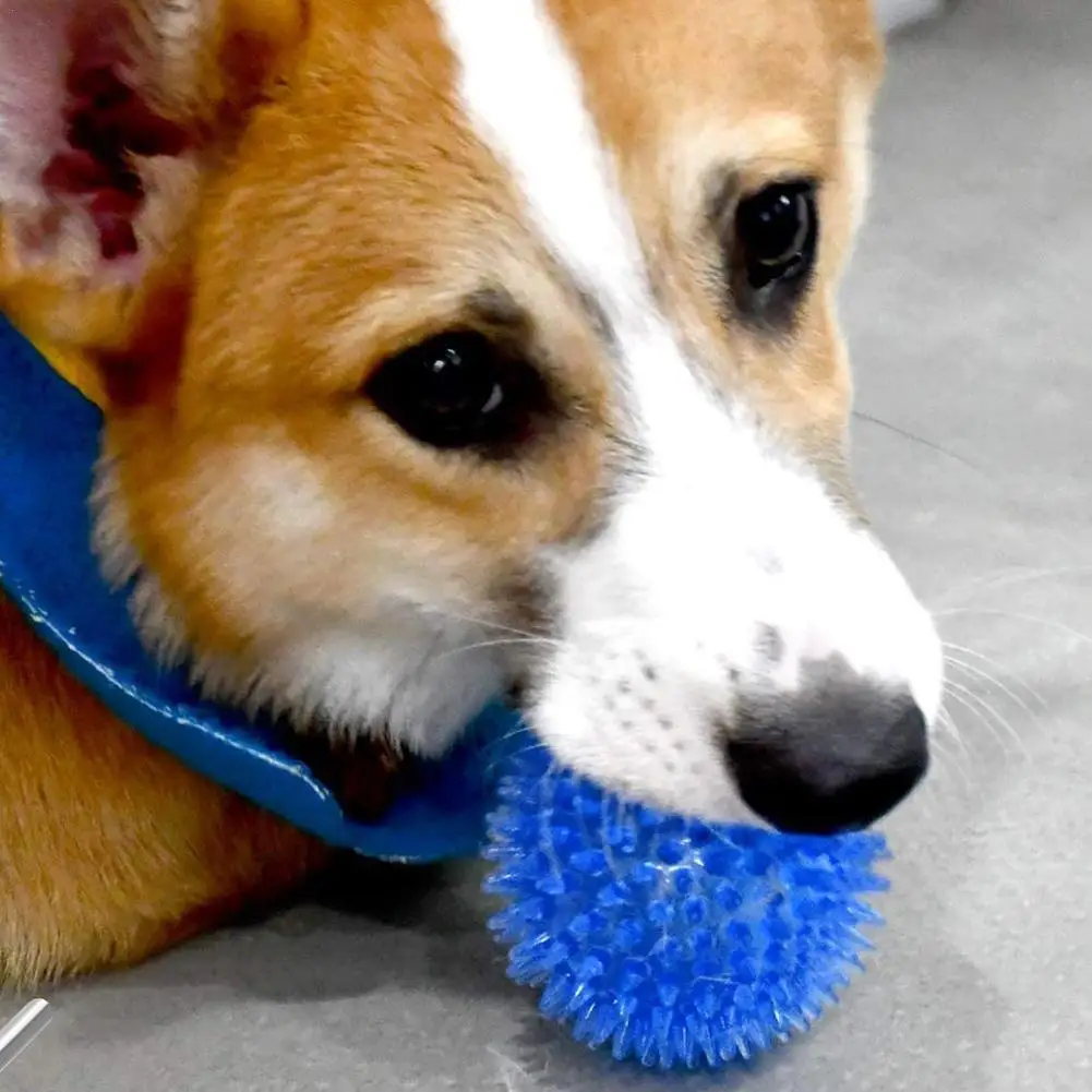 Spiky Chew Ball Dog Toy 1