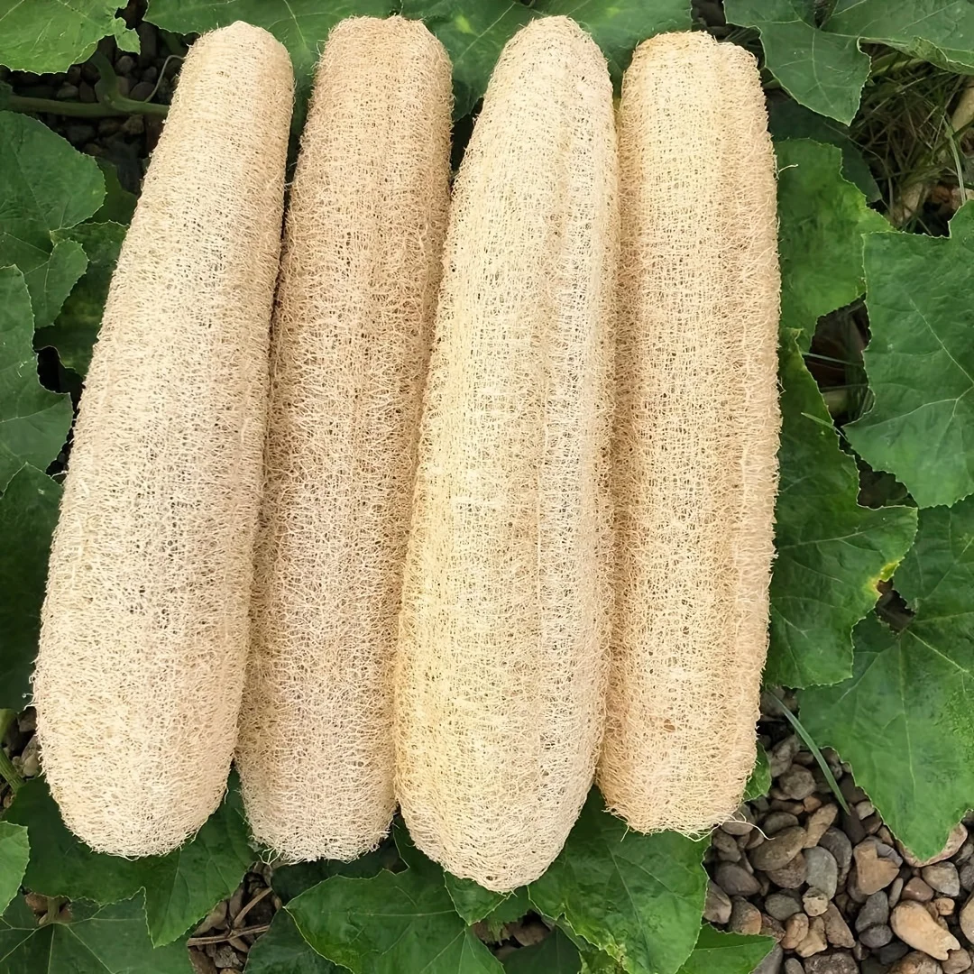 Natural Loofah Sponges Organic Luffa Bath Shower Sponge Exfoliating Body Back Scrubber for Men Women Adults SPA Beauty Bathing