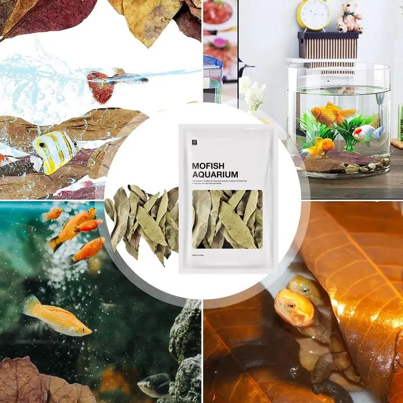 Aquarium Leaves 50pcs Indians Almond Leaves Natural Fish Aquarium Tank Water Conditioner Multi-Purpose Decoration Supplies for Fish Tank