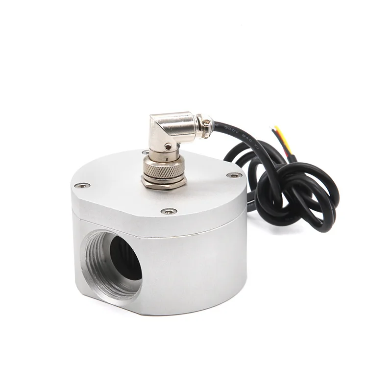 Elliptical Gear Flowmeter Oil Liquid Aluminum Alloy Hall Flow Sensor Gas Station Diesel 1 Inch Pipe Diameter DN25 1.2Mpa
