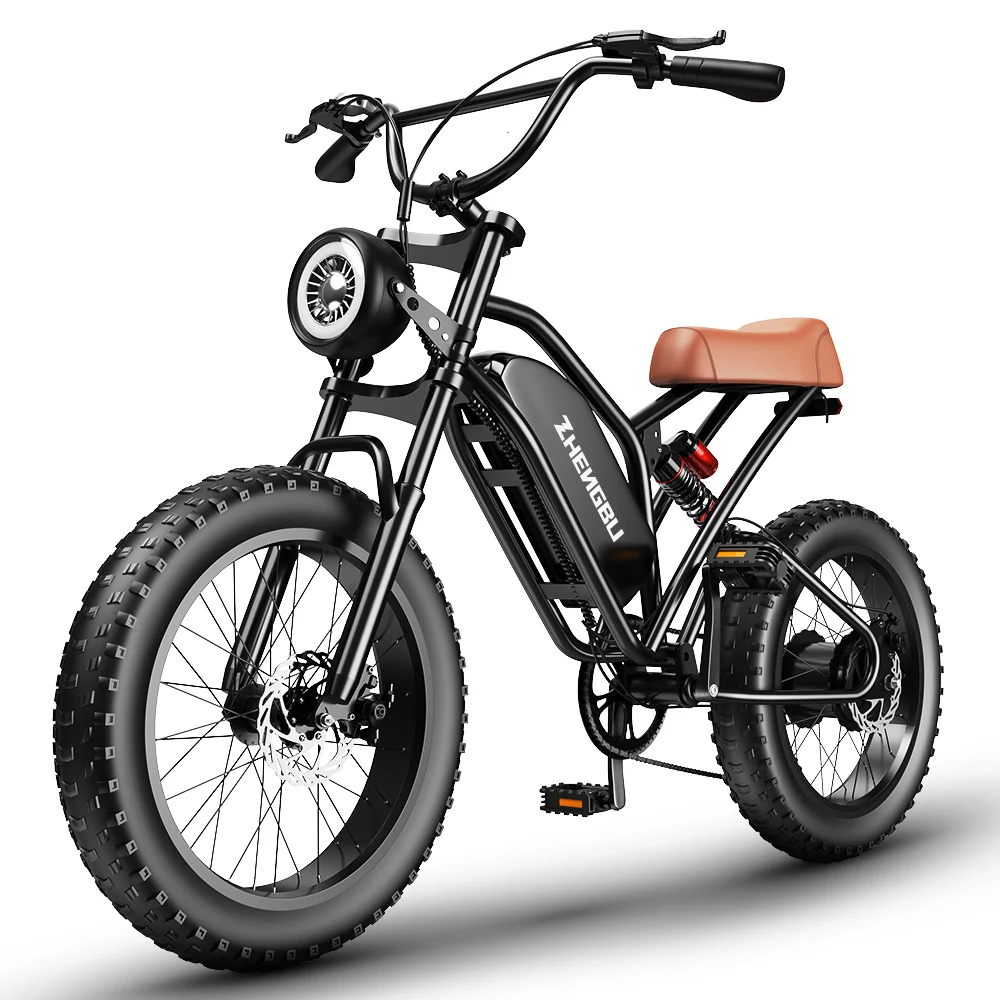 

Hot Sell EUY S4 20 Inch 1000W 48V 10AH 15AH 20AH Ebike Mountain Full Suspension Fat Tire Retro Vintage Electric