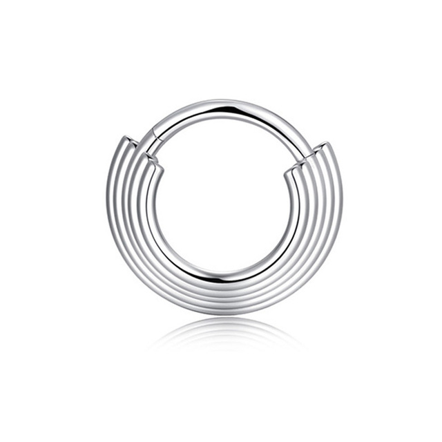 Nose Ring Hoop Septum Piercing Hinged Segment Clicker Surgical Steel Ear Cartilage Earrings Tragus Helix Daith Body Jewelry