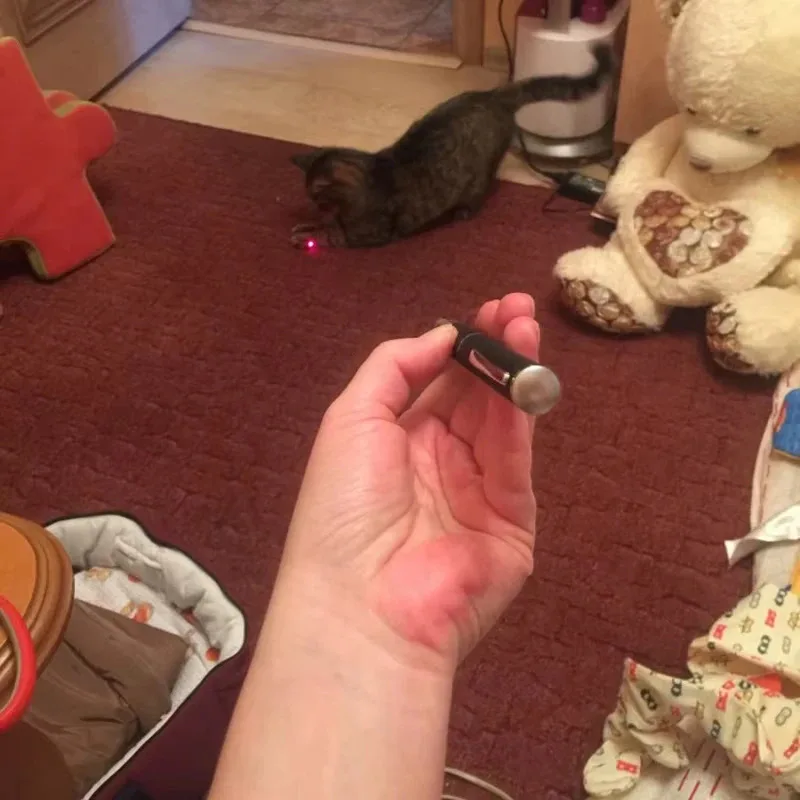 Laser Pointer Cat Toy 6
