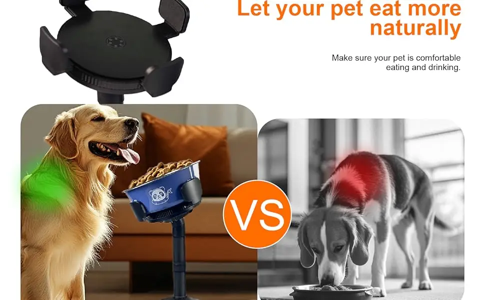 Neck-Friendly Dining Experience