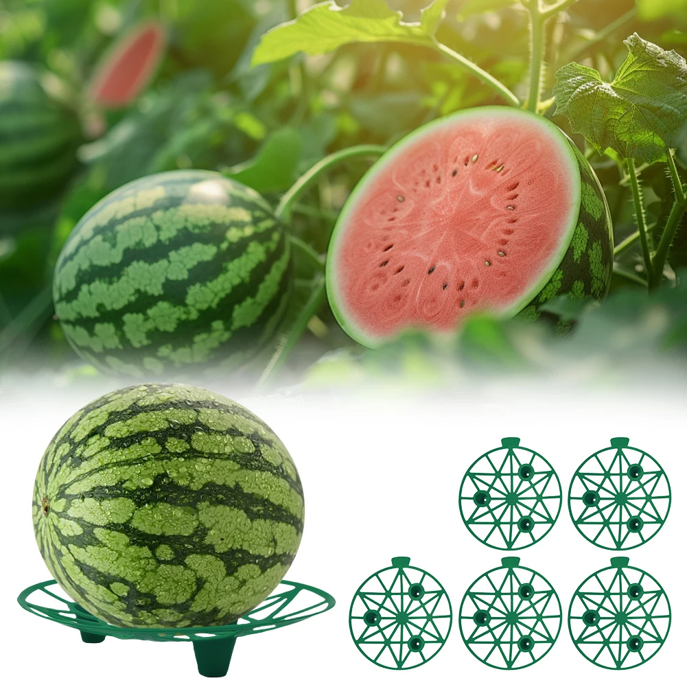 5/10Pcs Watermelon Cradle Fruits Vegetables Nursery Tray Watermelon Support Holder for Watermelons Pumpkins Melons Squash