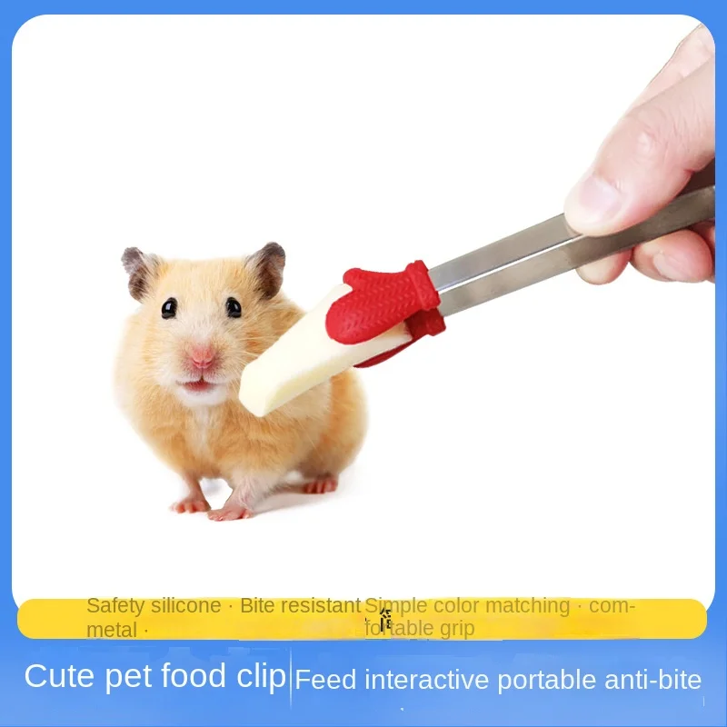 1 Pcs Pet Hamster Parrot Food Feeding Clip Stainless Steel Silicone Mini Clips Life Interactive Toy Small Pets Supplies