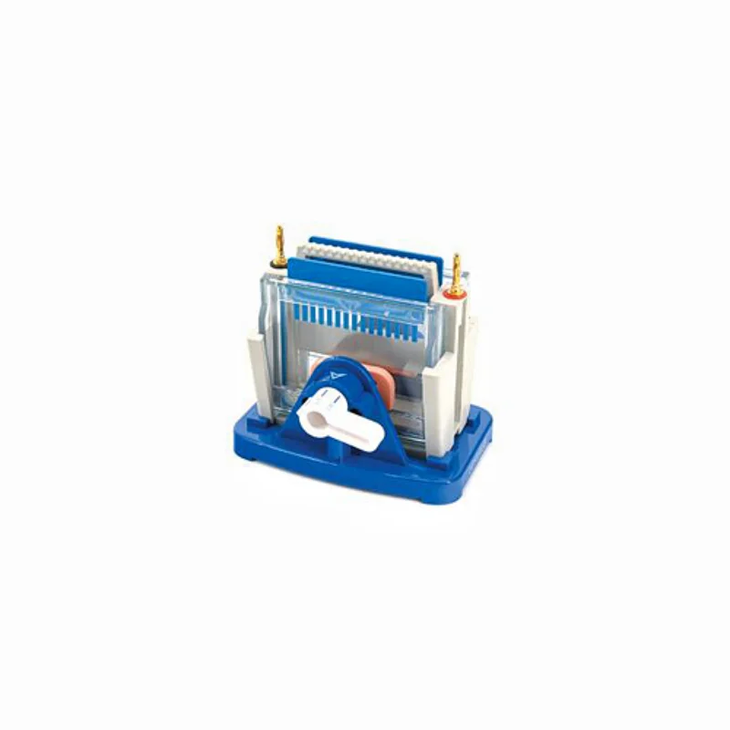 Gel Electrophoresis Cell Mini Modular Dual Vertical Protein Electrophoresis  Tank DYCZ-24DN For SDS-PAGE Protein Experiment