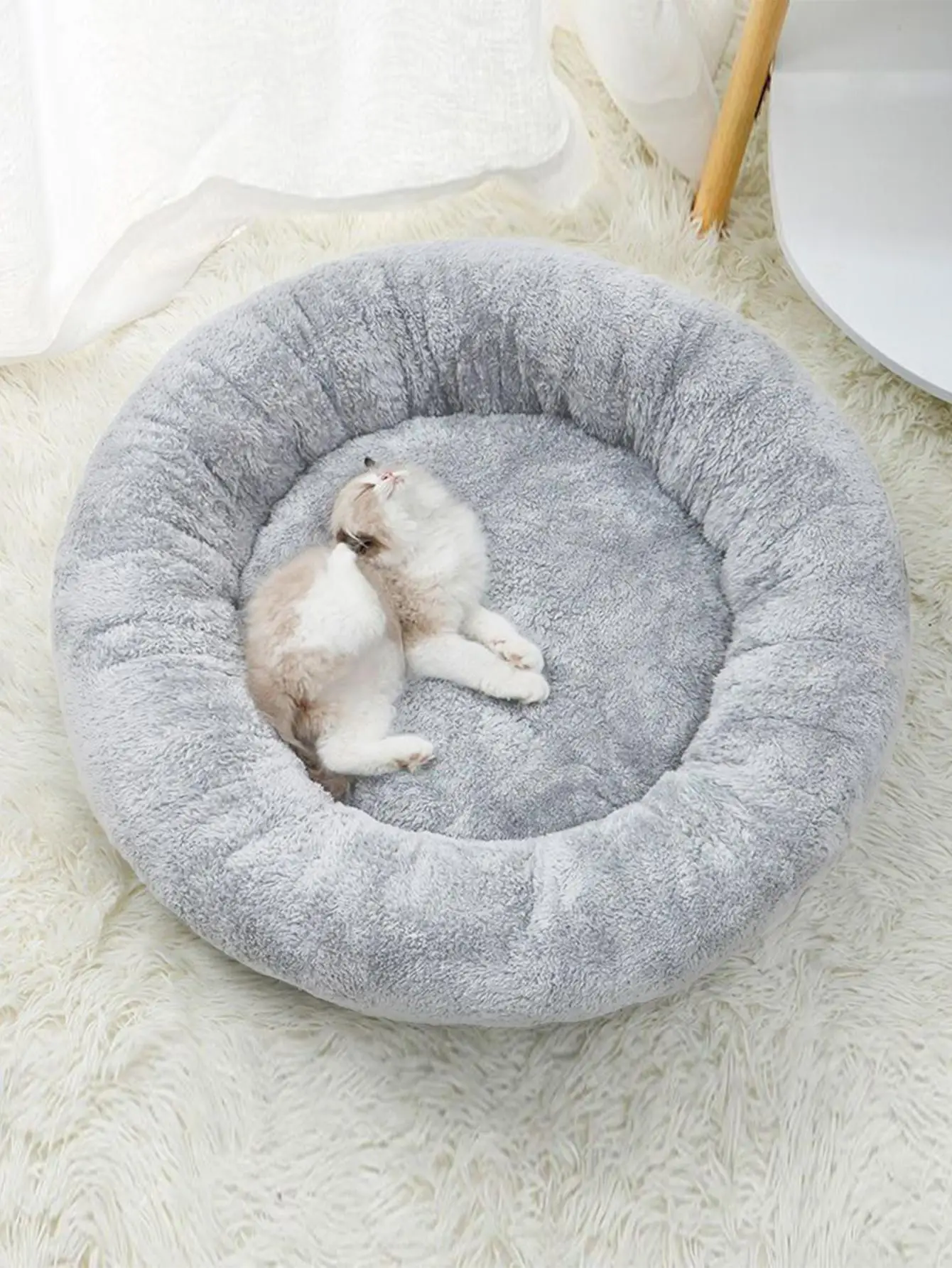 Pet Bed Round 4