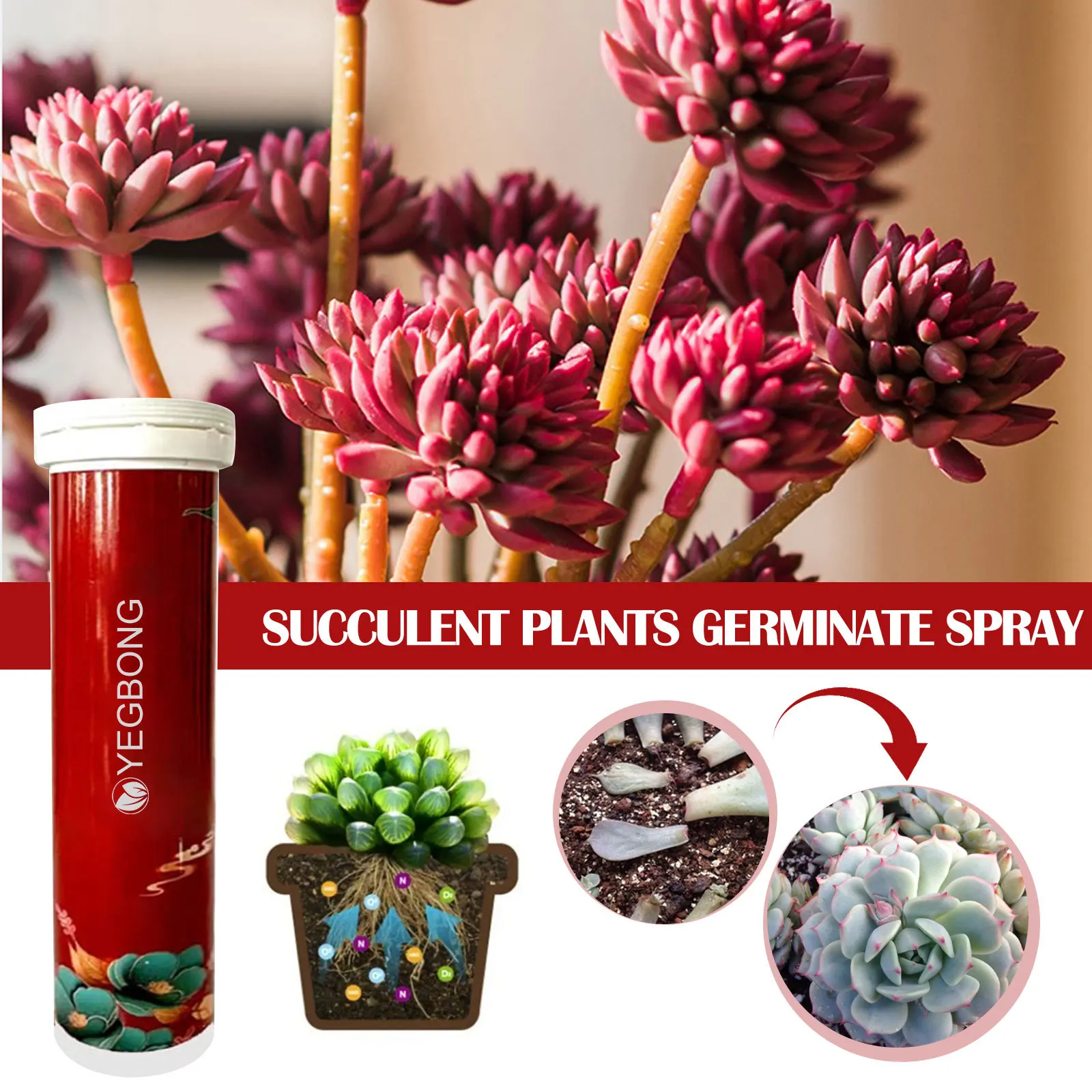 Plant Fertilizer plant compound fertilizer root stimulator plant fertilizer sticks plant nutrient solution plant fertilizer powder fertilizer box 1 bottle Plant Slow Release Fertilizer Universal Plant Rooting Slow Release Nutrient Tablets For Outdoor Garden flower