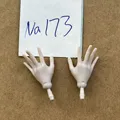 NO.173